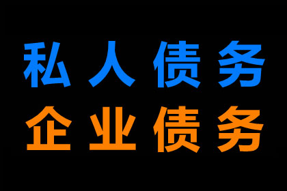民间借贷纠纷案件代理纪实：成就典范